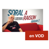 Soral a (presque toujours) raison – Novembre 2017
