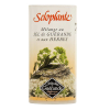 Seloplante–Sel fin aromatisé aux herbes aromatiques Bio